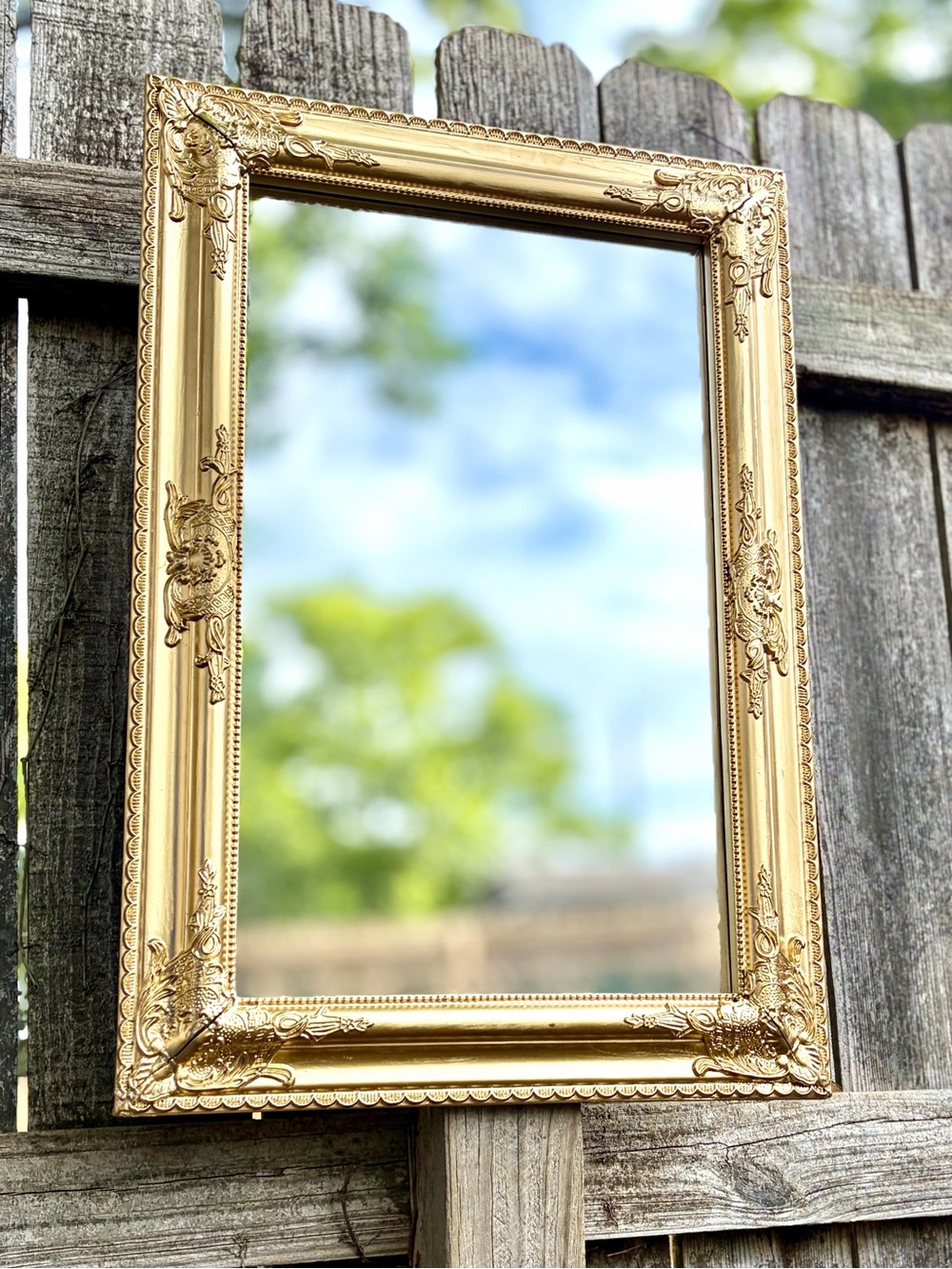 Ornate Gold Decorative Wall Mirror Frame